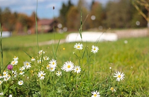 Фотографии объекта
							Отель «Лепота» Талдомский район