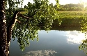 Фотографии объекта
							Санаторий «Ясные зори» Ярославская область