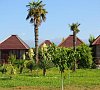 Отель Бамбора Гудаута - официальный сайт