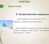 Клизмы №11 Клизмы, отдых все включено №11