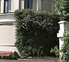 Отель Каракас Сухум фото