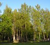 Энергетик Гродненская область - официальный сайт Энергетик Гродненская область - официальный сайт