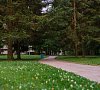 Санаторий «Северная Ривьера» Зеленогорск #18 Санаторий «Северная Ривьера» Зеленогорск #18