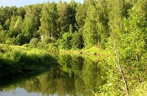 Фотографии объекта
							Санаторий «Ясные зори» Ярославская область