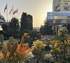 Целебный Нарзан Кисловодск цены