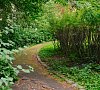 Санаторий им. Горького Щелковское шоссе фото Санаторий им. Горького Щелковское шоссе фото