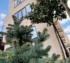 Отель A-morе Гагра