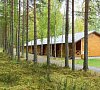 Шишки Карелия