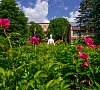 Санаторий «Переделкино» Ново-Переделкино #16 Санаторий «Переделкино» Ново-Переделкино #16