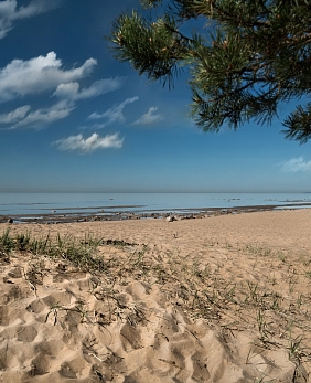 Санатории Репино