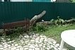 Гостевой дом «Айсберг» Пицунда, Абхазия #4