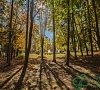 Санаторий Зеленая роща Башкирия фото Санаторий Зеленая роща Башкирия фото