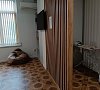 Белый лебедь Сухум