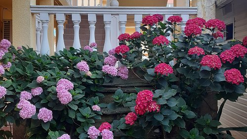 Отель «Морской Бриз» Сочи #1