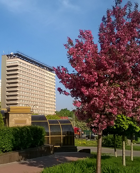 Гостиница Университетская