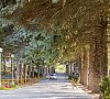 Пикет Кисловодск - официальный сайт
