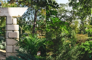 Фотографии объекта
							Санаторий «Полтава-Крым» Саки