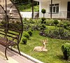 Белая Дача Кисловодск цены