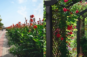 Фотографии объекта
							Санаторий «Полтава-Крым» Саки