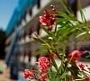 Отель «Левант» Ялта, Крым #14 Отель «Левант» Ялта, Крым #14