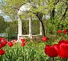Санаторий Ревиталь Парк Горьковское шоссе фото