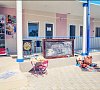 Анна Анапа цены