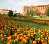 Санаторий Заря Каширское шоссе - официальный сайт