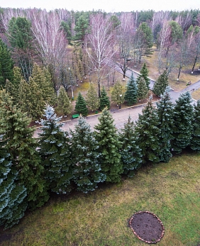 Путевки в санатории Гомельской области Путевки в санатории Гомельской области