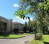 Елочки Каширское шоссе