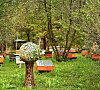 База отдыха «Усадьба «Сокол» Горный Алтай - пасека База отдыха «Усадьба «Сокол» Горный Алтай - пасека