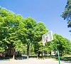 Неман-72 Гродненская область цены Неман-72 Гродненская область цены