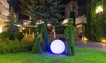 IMG